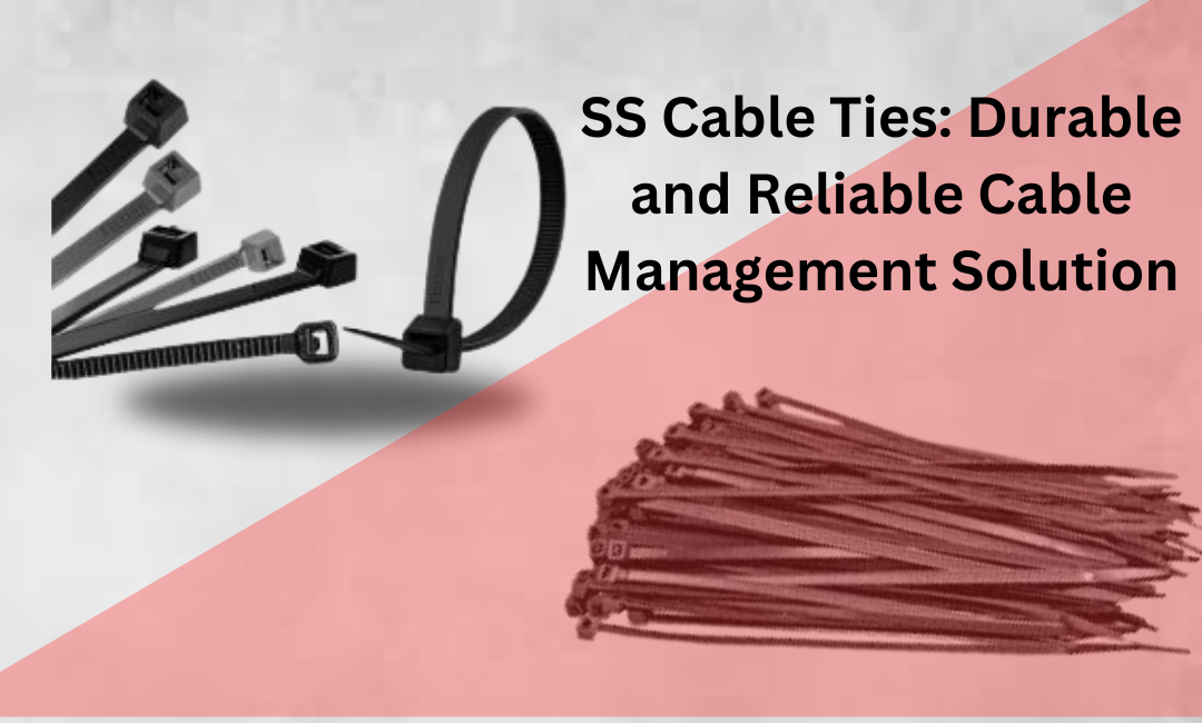 SS Cable Ties