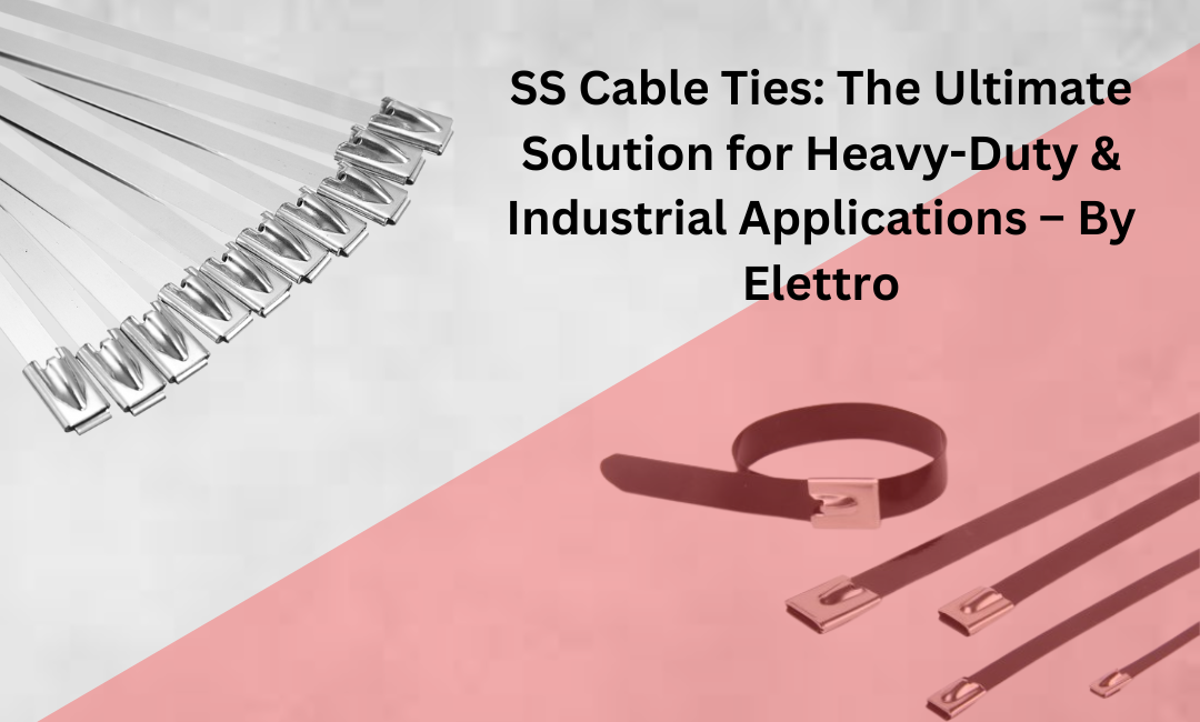  SS Cable Ties